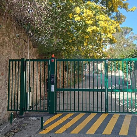 T2 A Proximite Des Plages Cannes Eksteriør billede